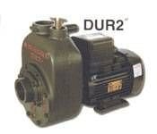 Alem Bertola DUR2 - 1,5 Hp 1,1 Kw 2'' Monofaze 220 Volt Su Pompası